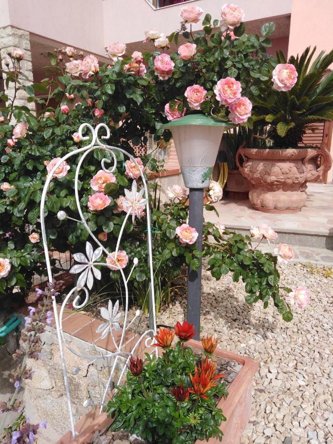 The Roses Garden Bed & Breakfast La Maddalena  Eksteriør bilde